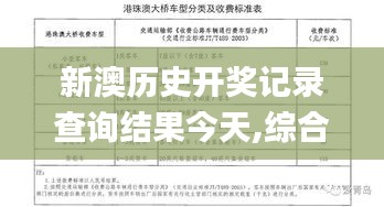 新澳历史开奖记录查询结果今天,综合计划定义评估_顶级版3.477