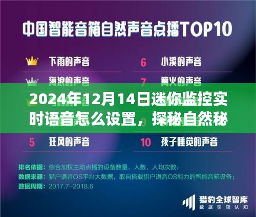 探秘自然秘境，迷你监控实时语音设置指南与心灵之旅启程