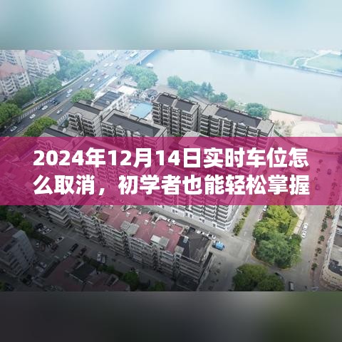 初学者也能轻松掌握，2024年实时车位取消步骤详解与取消方法