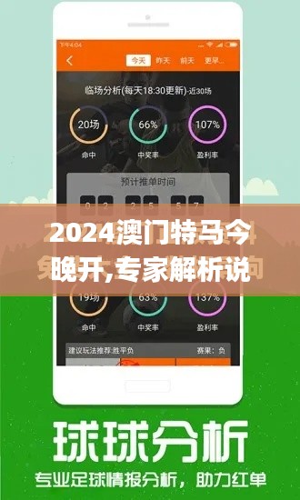 2024澳门特马今晚开,专家解析说明_Plus7.836