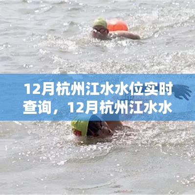 最新杭州江水水位实时查询系统，掌握安全水位线动态