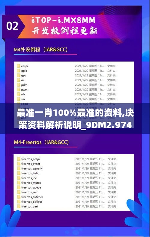 最准一肖100%最准的资料,决策资料解析说明_9DM2.974