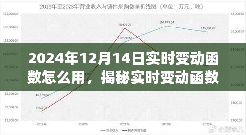 揭秘实时变动函数，驾驭未来业务变革的关键技能（2024年12月14日指南）
