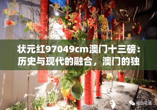 状元红97049cm澳门十三磅：历史与现代的融合，澳门的独特风味