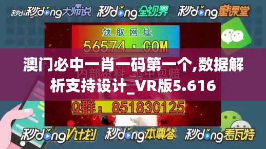 澳门必中一肖一码第一个,数据解析支持设计_VR版5.616