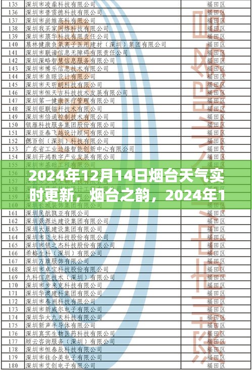 2024年12月14日烟台天气深度解读，城市韵味与实时气象更新