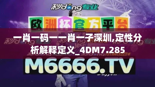 一肖一码一一肖一子深圳,定性分析解释定义_4DM7.285