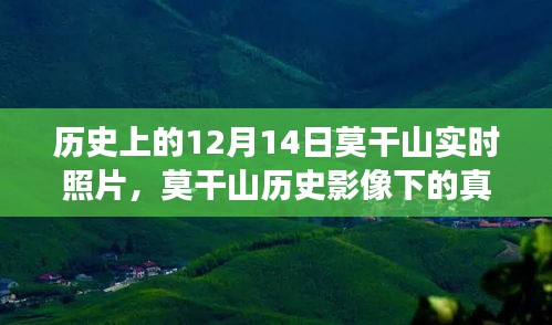 莫干山历史影像揭秘，实时照片下的真实面貌与独特观察视角