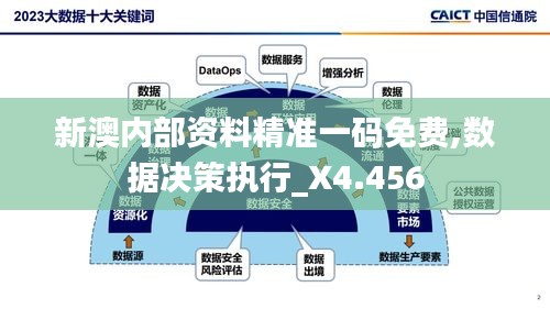 新澳内部资料精准一码免费,数据决策执行_X4.456