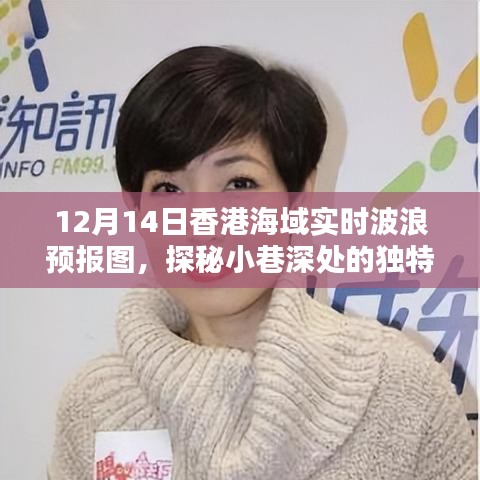 探秘香港海域实时波浪预报图，波涛间的小巷风情