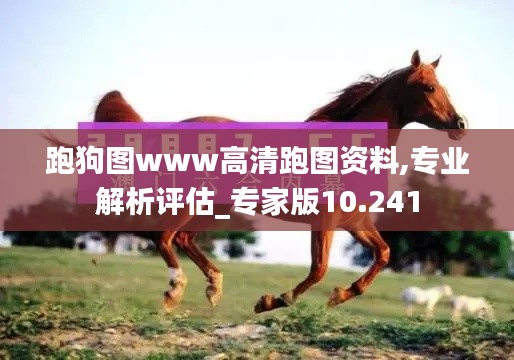 跑狗图www高清跑图资料,专业解析评估_专家版10.241