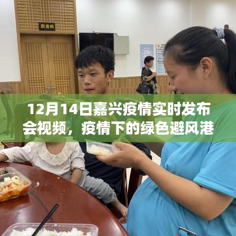 嘉兴疫情发布会视频，疫情下的绿色避风港与美景召唤之旅
