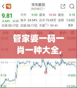管家婆一码一肖一种大全,未来规划解析说明_Superior5.597