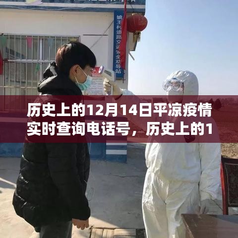 龙飞九五 第3页