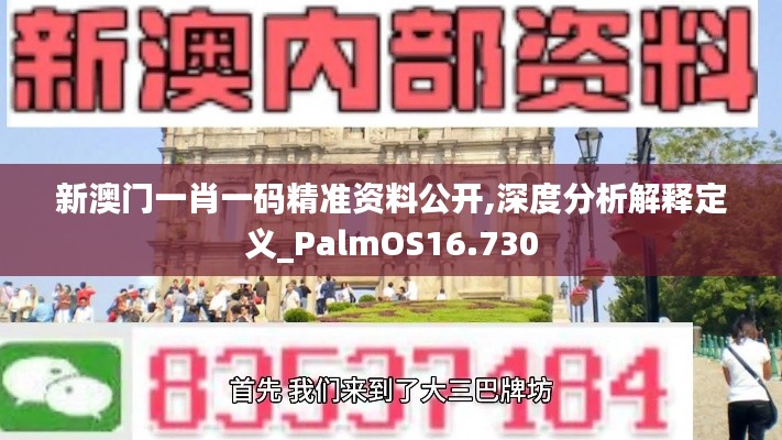 新澳门一肖一码精准资料公开,深度分析解释定义_PalmOS16.730