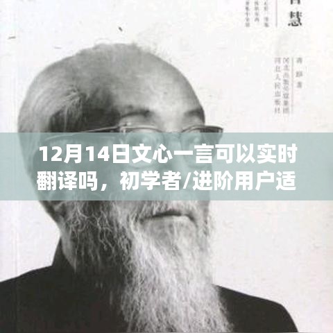 12月14日文心一言实时翻译功能使用指南，适合初学者与进阶用户
