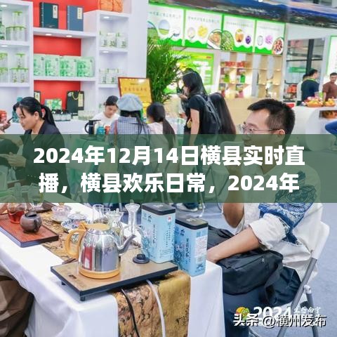 横县欢乐日常，直播日的温馨趣事（2024年12月14日实时直播回顾）