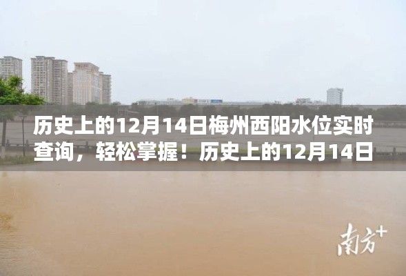 历史上的12月14日梅州西阳水位实时查询详解与步骤指引，轻松掌握水位信息！