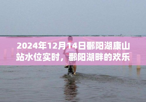 鄱阳湖康山站水位实时观察与湖畔的欢乐时光，温情故事揭秘