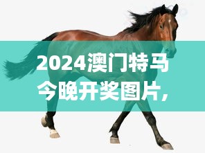 2024澳门特马今晚开奖图片,最新正品解答落实_顶级款4.389