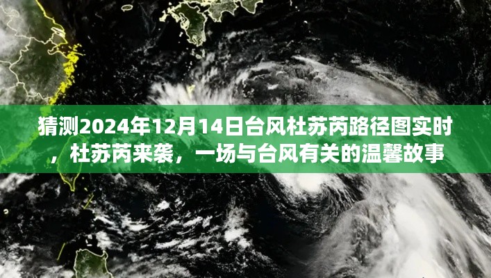 台风杜苏芮来袭，一场温馨与关注的对抗故事