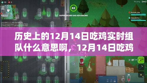 心灵与自然的奇妙之旅，揭秘历史上的吃鸡实时组队背后的故事