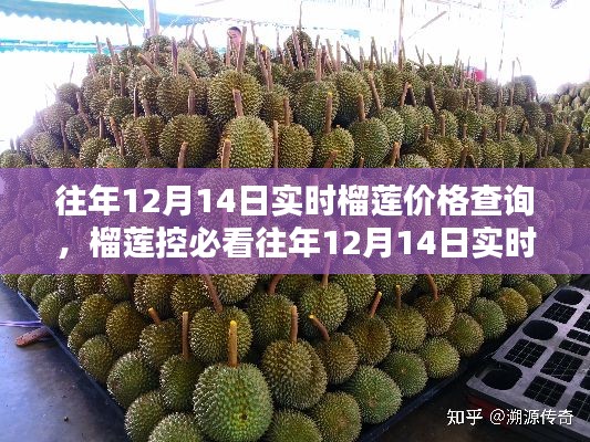 榴莲控必看，往年12月14日实时榴莲价格揭秘与选购攻略大放送！