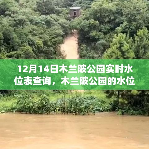 木兰陂公园水位查询背后的友情与陪伴故事
