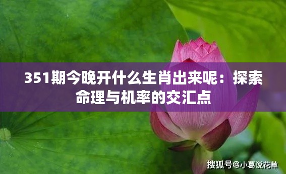 351期今晚开什么生肖出来呢：探索命理与机率的交汇点