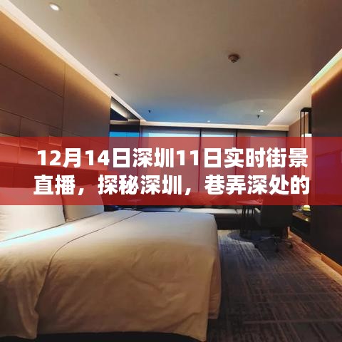 探秘深圳巷弄深处的惊喜，实时街景直播带你走进隐藏特色小店