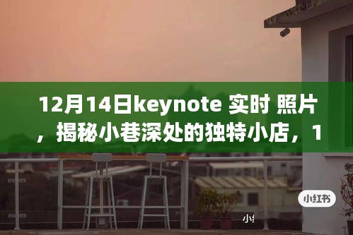 揭秘小巷深处的独特小店，12月14日Keynote的惊喜美食与瞬间探索纪实