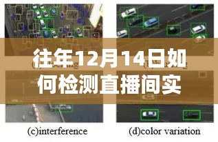 策略与技巧，精准检测直播间实时数据的指南——往年12月14日的实践方法分享。