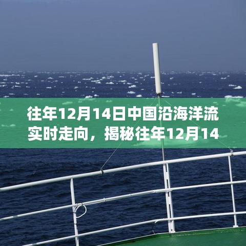 揭秘，往年12月14日中国沿海洋流走向与流动奥秘洞察实时数据解析