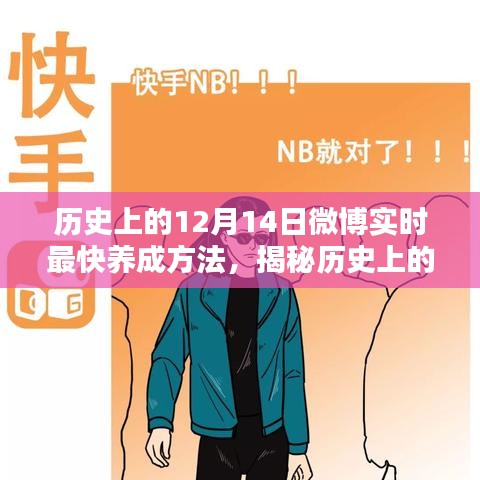 百鸟归巢 第3页