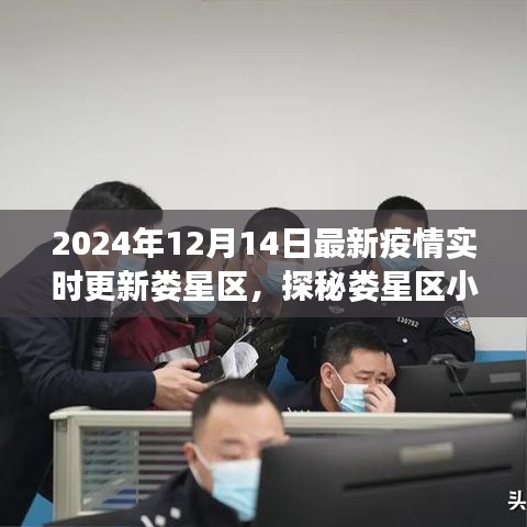 娄星区疫情实时更新，小巷深处的独特风味与意外惊喜