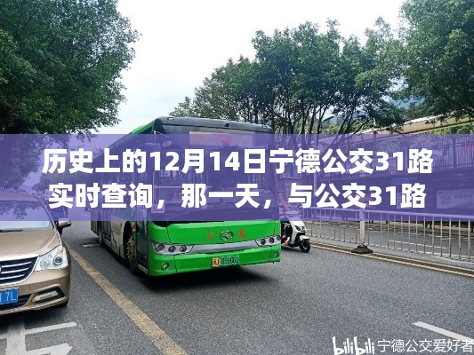 12月14日与宁德公交31路的奇妙缘分实时查询纪实