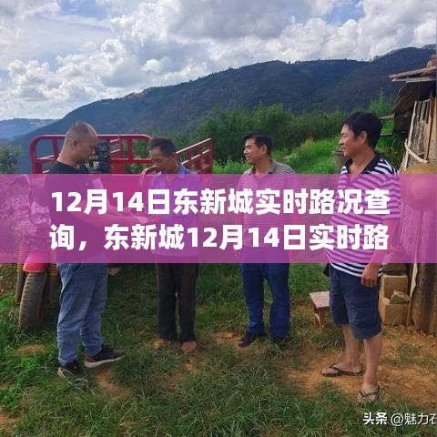 东新城12月14日实时路况微观洞察，透视交通脉络变迁