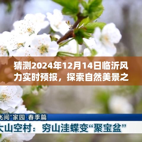 临沂风力实时预报探索，预测中的自然美景之旅（2024年12月14日）