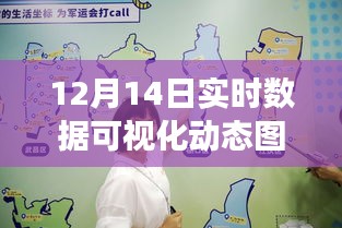 实时数据可视化动态图标，掌握数据脉搏，探索无限可能（十二月十四日版）