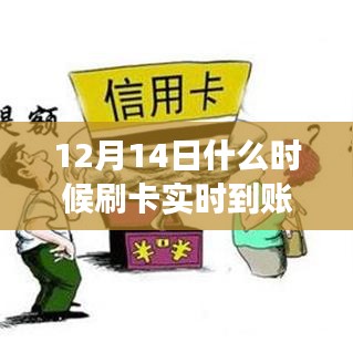 拥抱自信与成就感的奇妙旅程，揭秘12月14日刷卡实时到账秘籍！