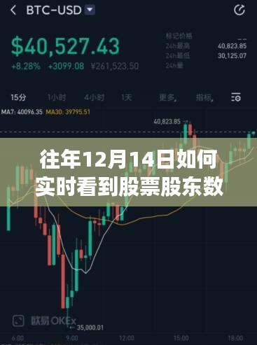 揭秘，如何在往年12月14日实时观察股票股东数及策略探讨