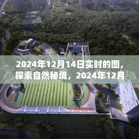 实时探索自然秘境，寻找内心的桃花源，2024年12月14日实时之旅