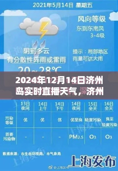济州岛天气预报与实时直播天气指南（初学者版）