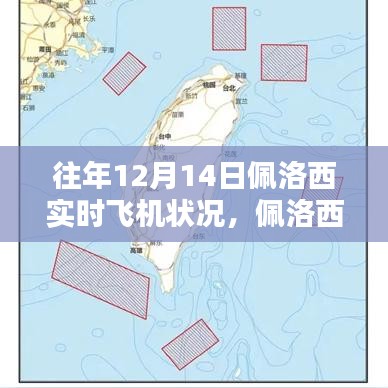 佩洛西实时飞行日常，爱与陪伴的温馨时光揭秘