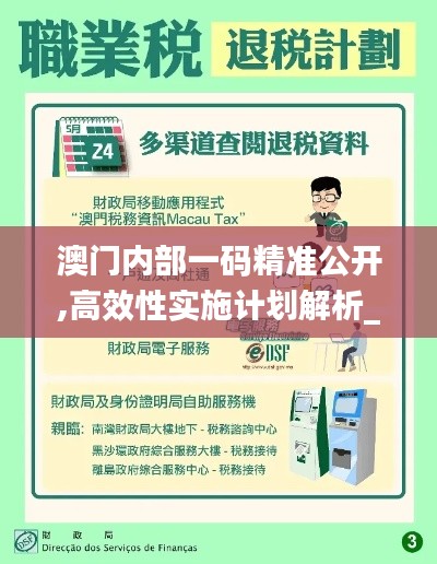 澳门内部一码精准公开,高效性实施计划解析_V210.376