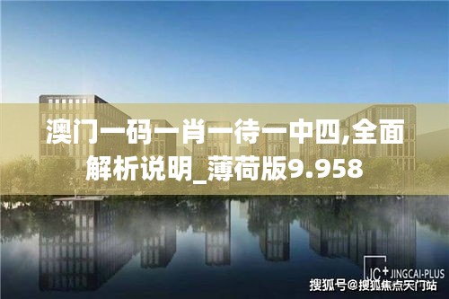 澳门一码一肖一待一中四,全面解析说明_薄荷版9.958