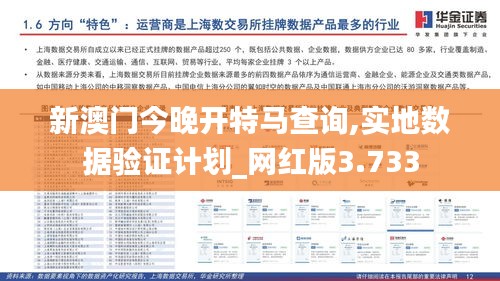 新澳门今晚开特马查询,实地数据验证计划_网红版3.733