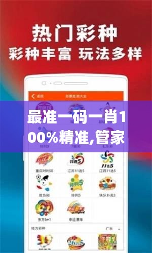 最准一码一肖100%精准,管家婆大小中特,真实解答解释定义_XR2.997