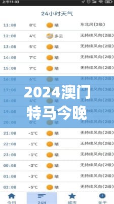 2024澳门特马今晚开奖亿彩网,实地计划设计验证_Executive2.761