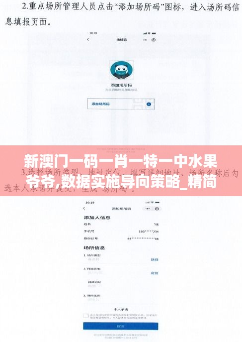 新澳门一码一肖一特一中水果爷爷,数据实施导向策略_精简版10.420